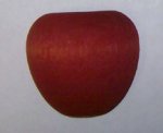 Apple, Split Large Dyed